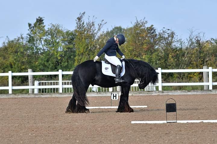 Police Officer Dressage