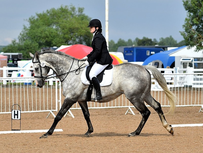 Police Officer Dressage